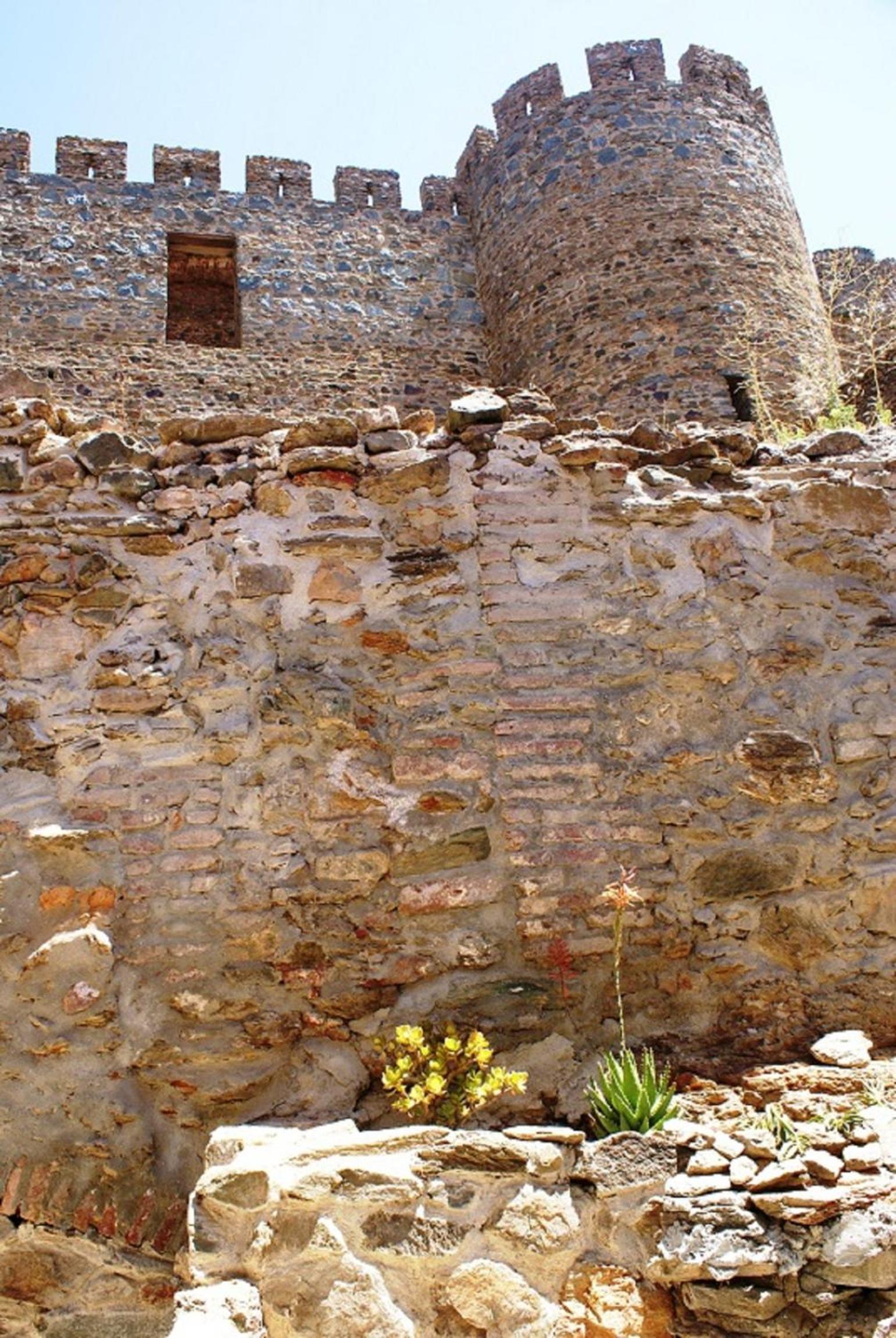 Photo 45