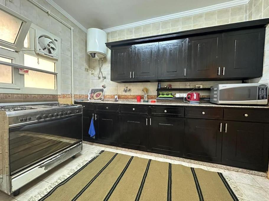 Luxurious apartment for rent with Nile view 1002