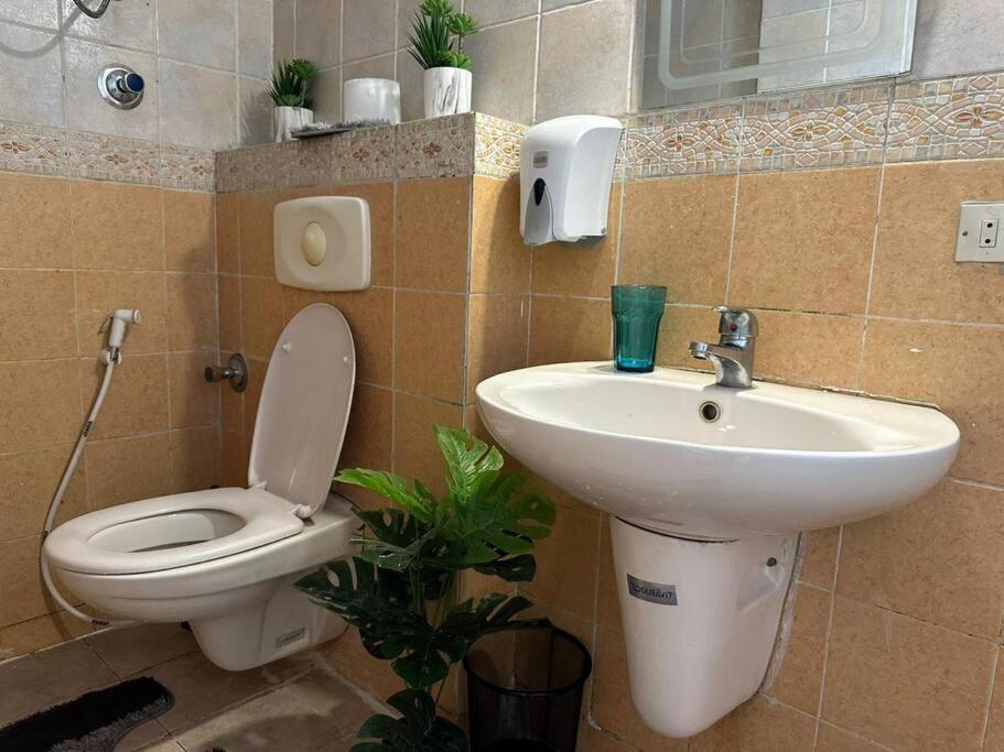Luxurious apartment for rent with Nile view 1002