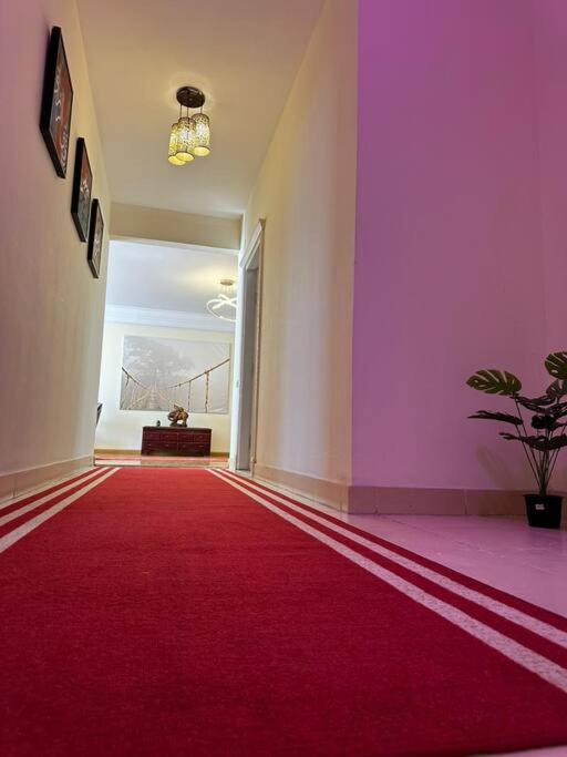 Luxurious apartment for rent with Nile view 1002