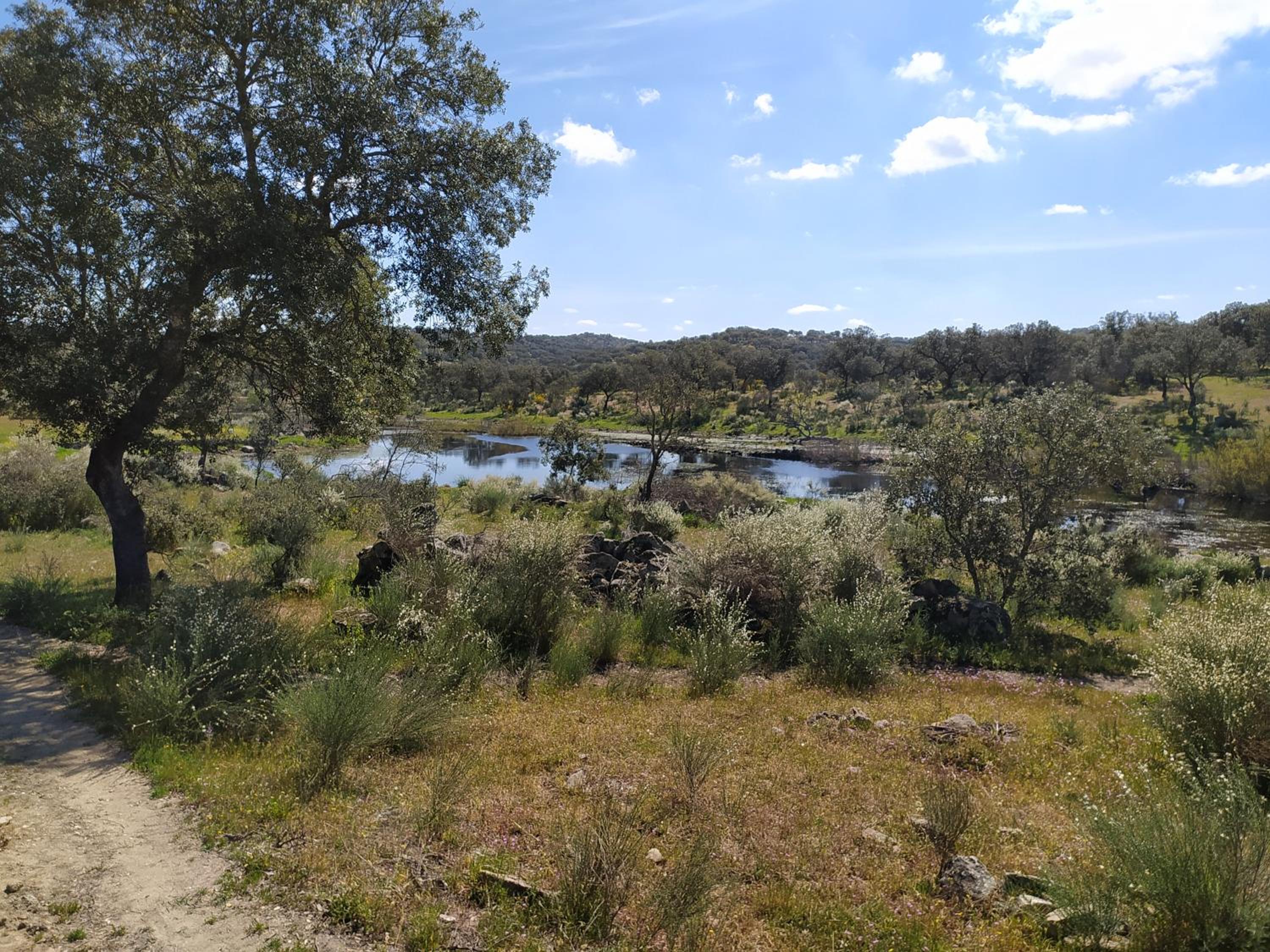Finca Las Gamitas