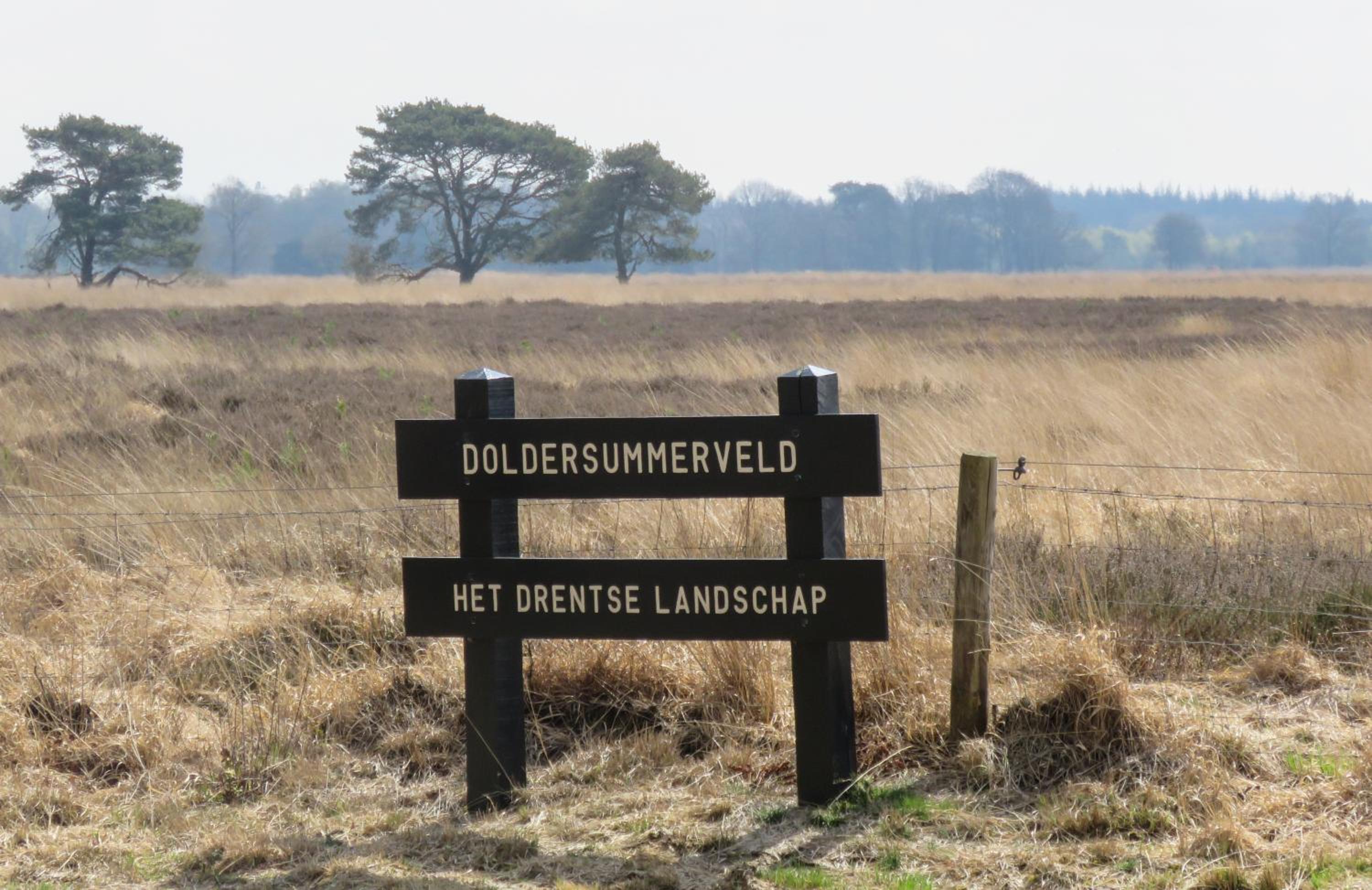 Huisje De Geluksvogel view 5