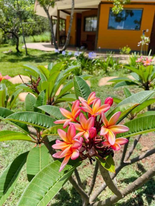 Casa Kali Sol - refúgio na natureza com vista e hidromassagem