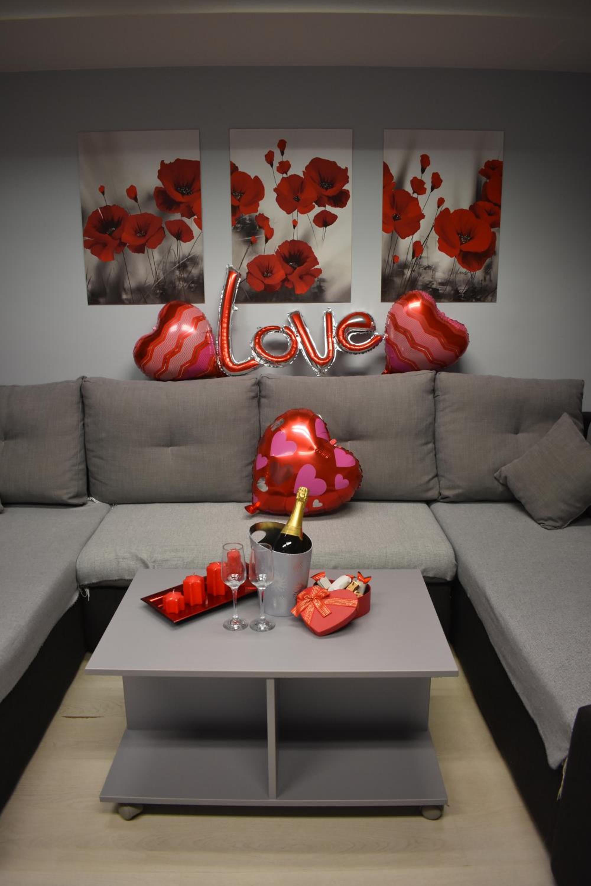 Apartman Tara view 3