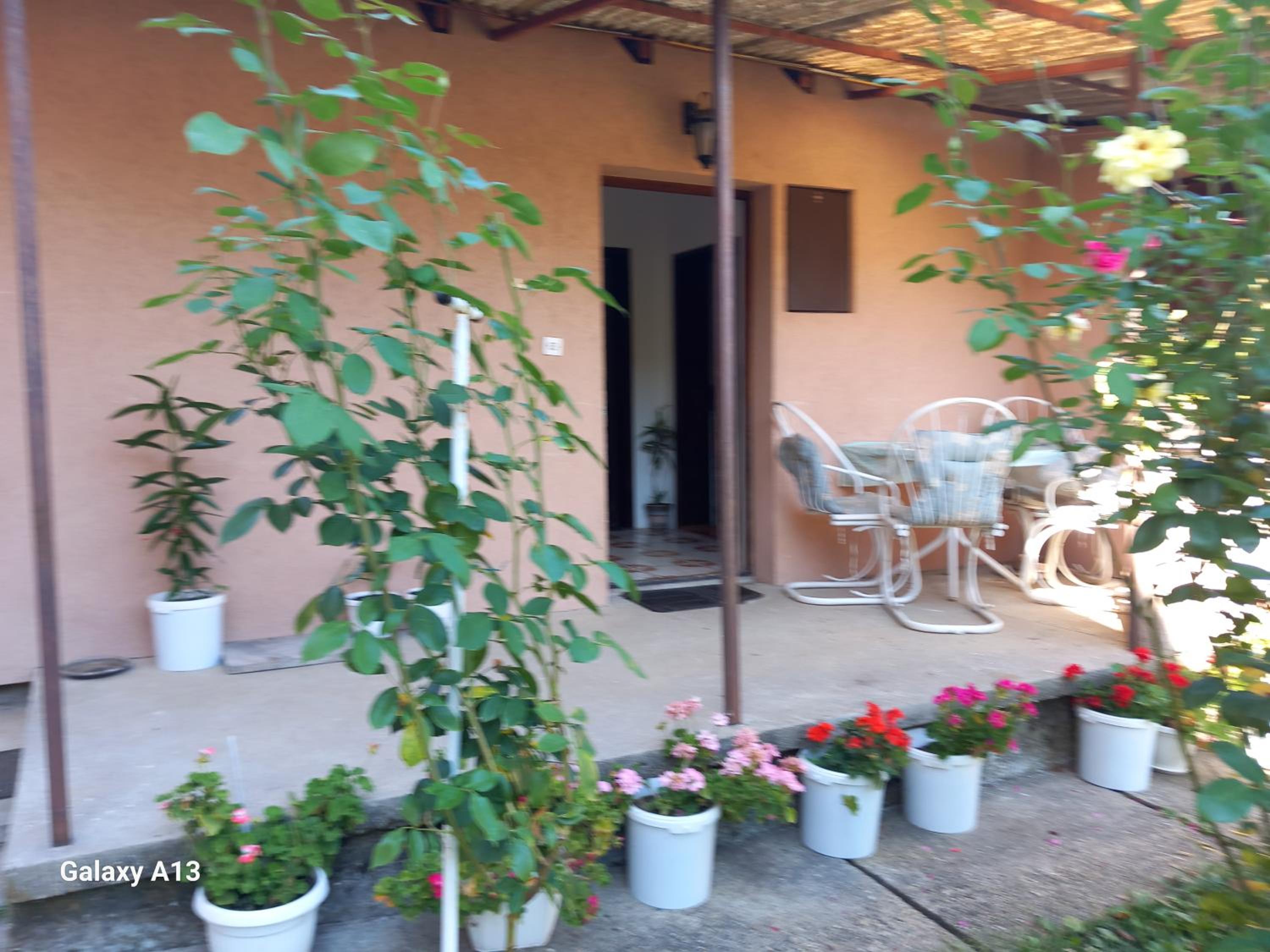 Apartmani Pavlov