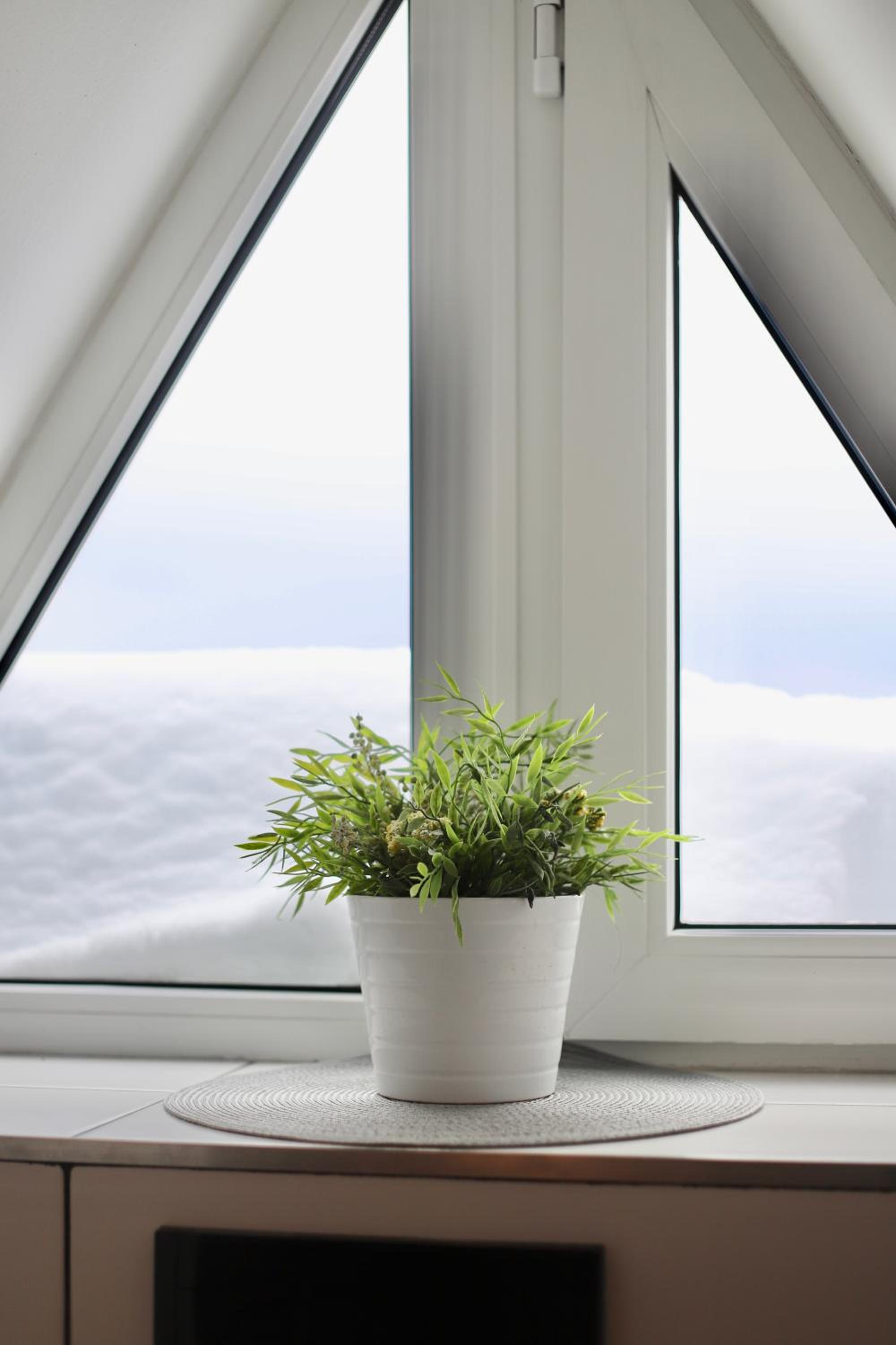 Apartmán U Bobovky - Lipno nad Vltavou