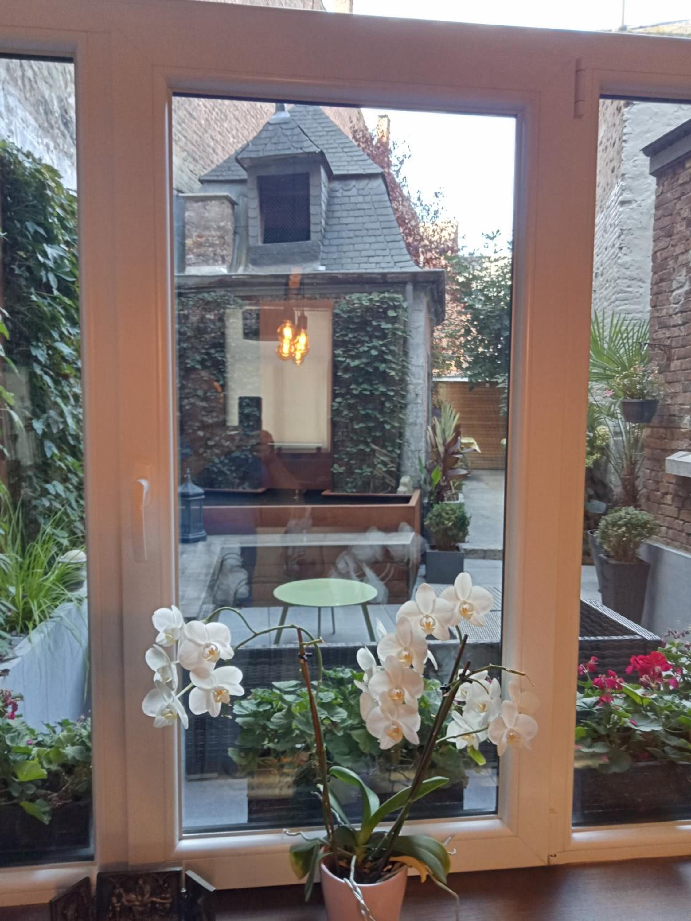 Couque cuivrée II