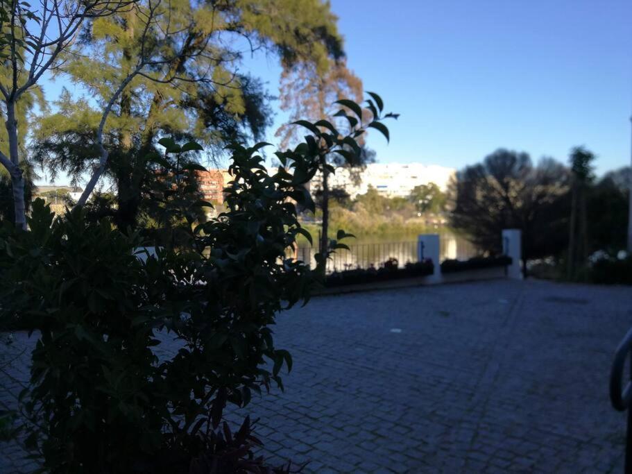 Disfruta Sevilla desde Triana junto al río
