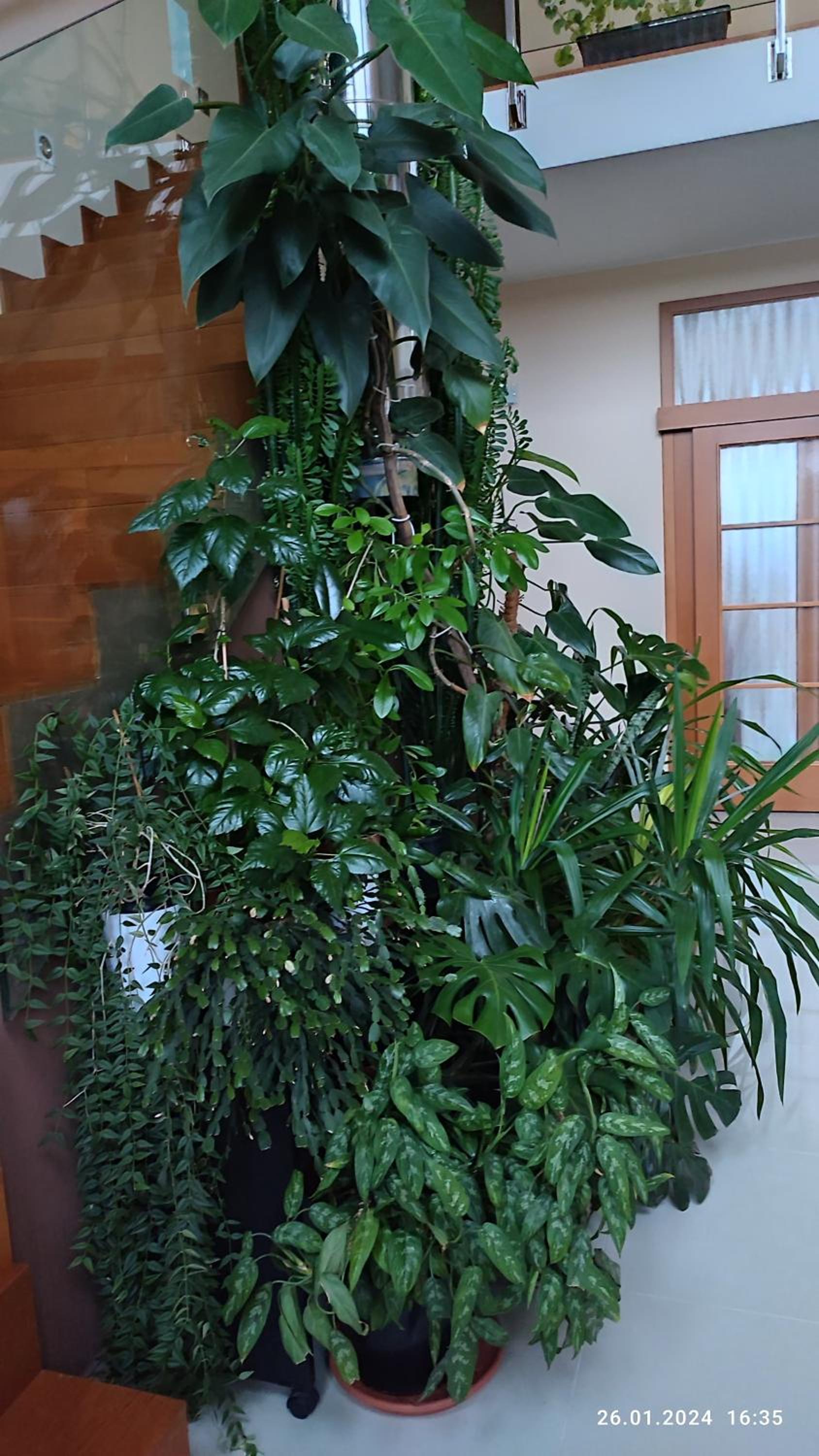 Villa Homestay Nad Helmrovkou