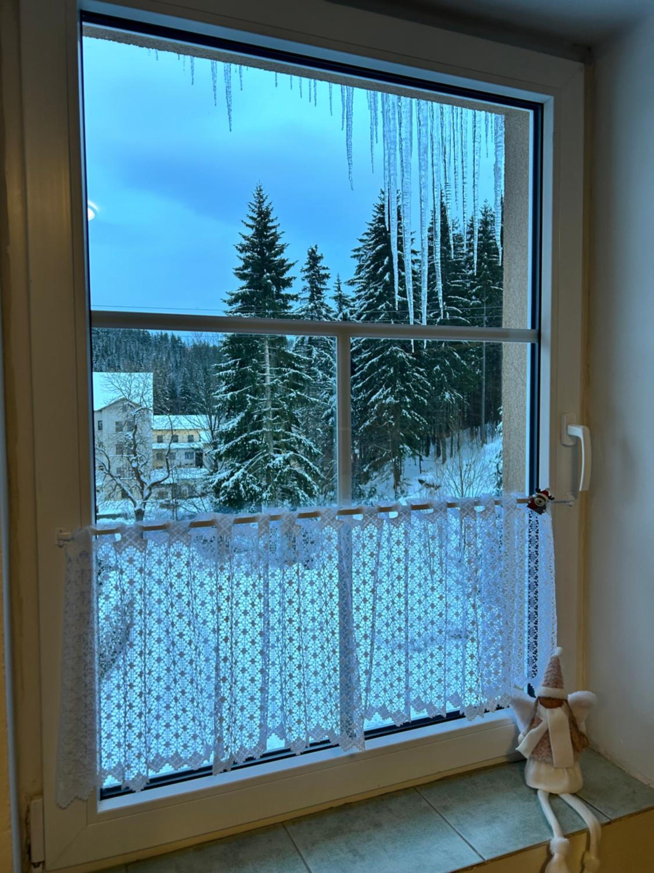 APARTMENT OWL view 4