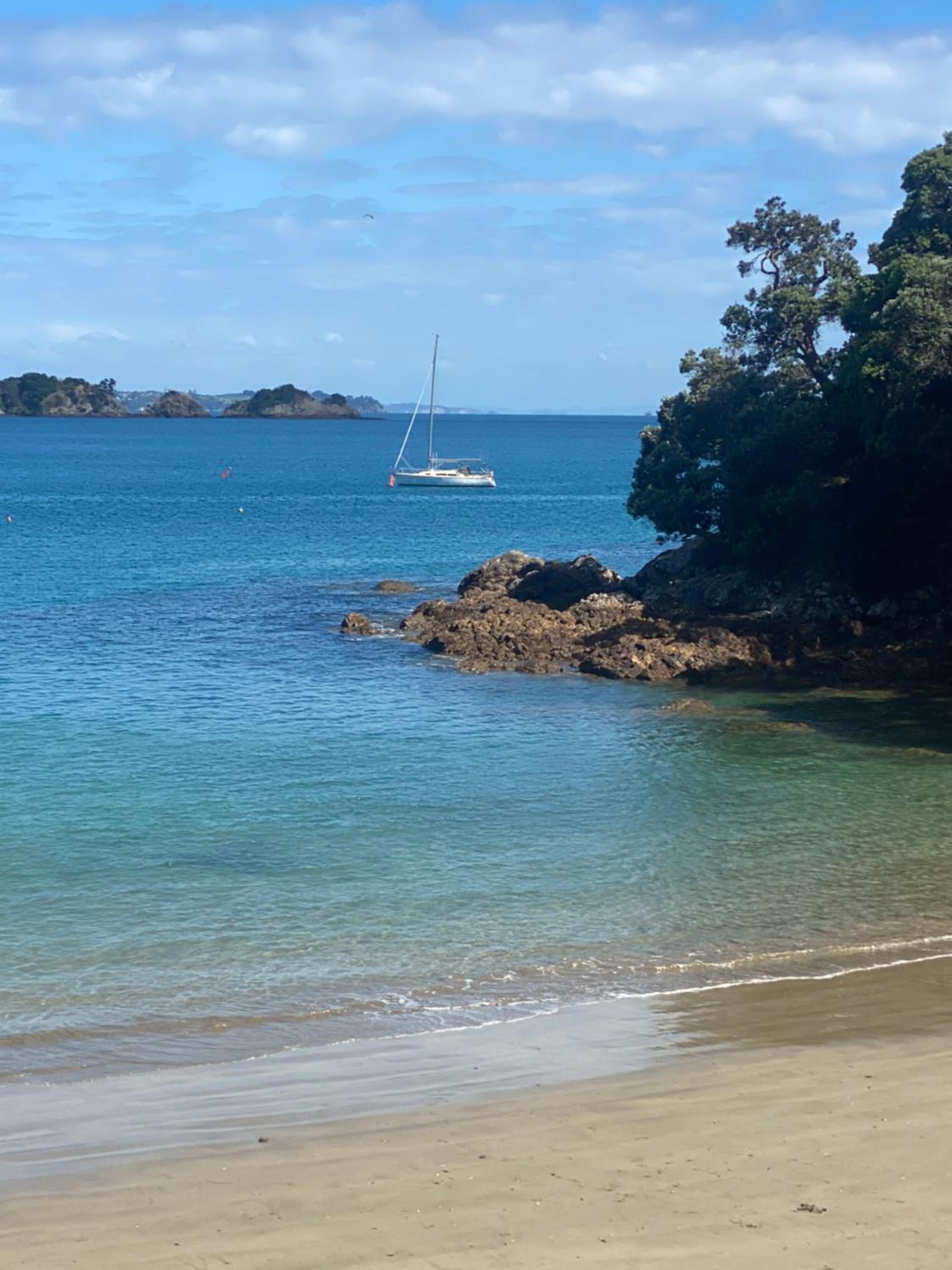 Kereru Cabin - Spectacular seaviews, Glamping Eco adventure view 4