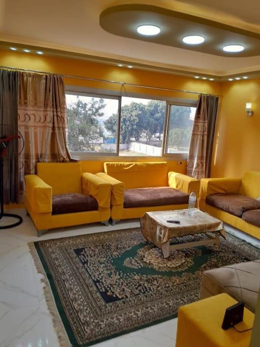 2-rooms apartment in Maadi !