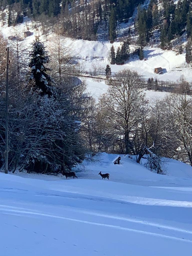 Chalet Sträba