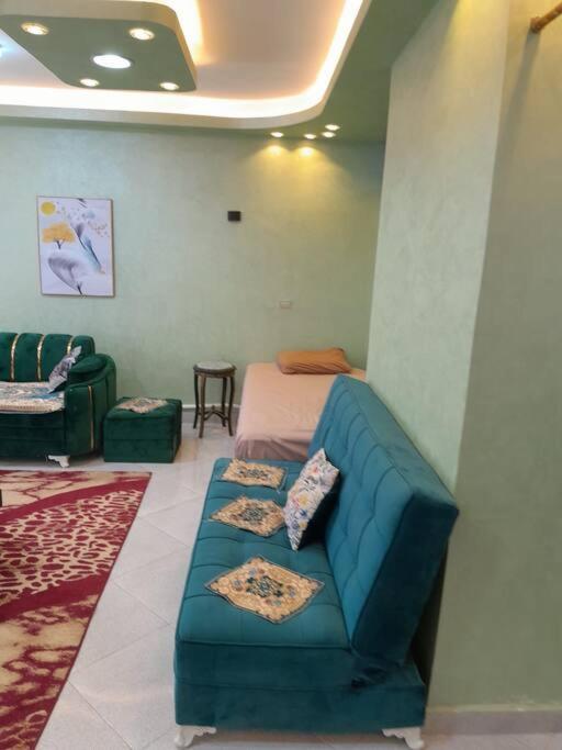 Calm studio apartment in Maadi