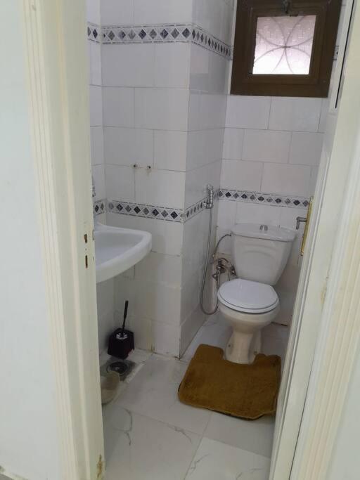 Calm studio apartment in Maadi