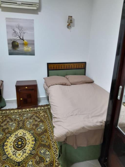 Calm studio apartment in Maadi