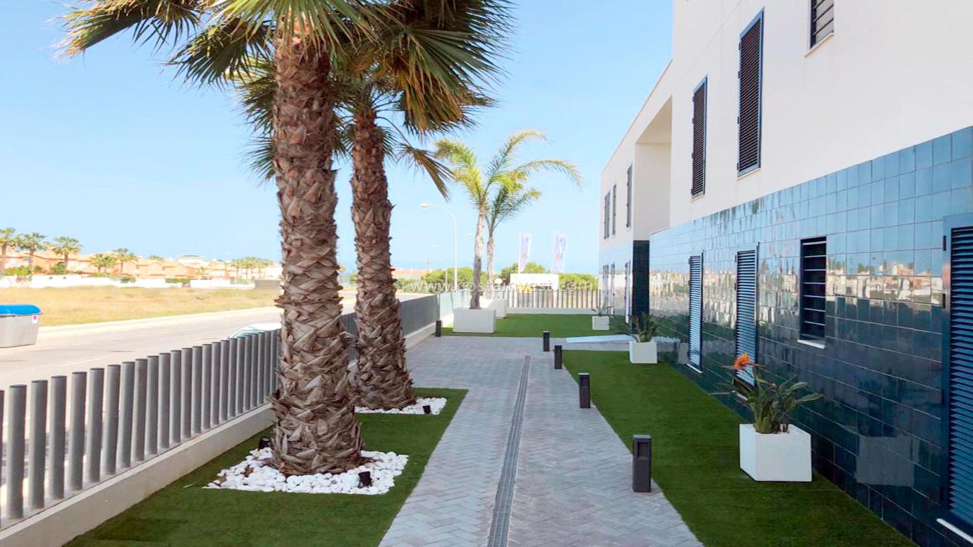 Palmview Poolside Heaven in Turquesa del Mar