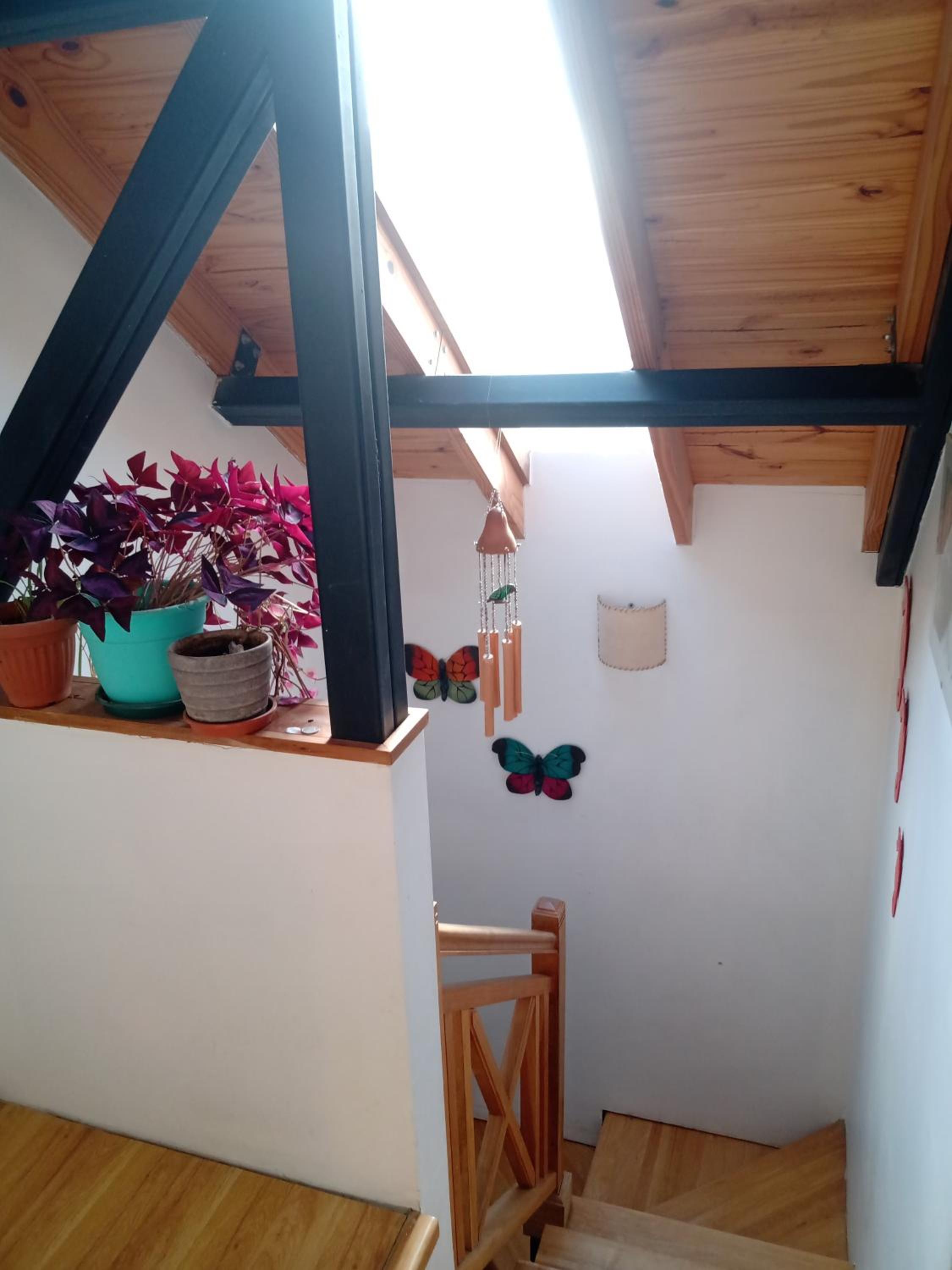 Chalet luminoso