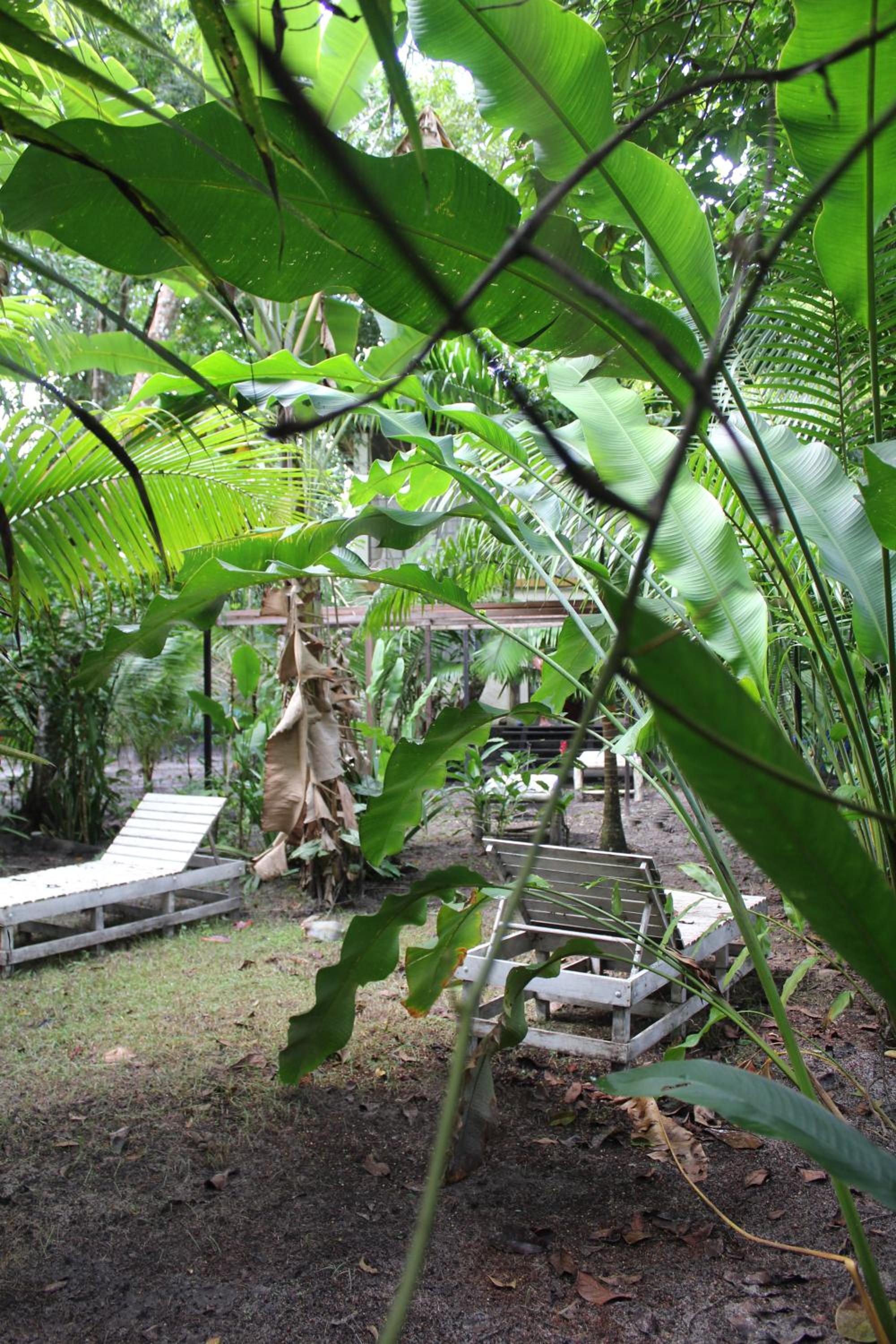 REFUGIO DO SAGRADO MORERE Tropical Lodge - A Casa do Vigía
