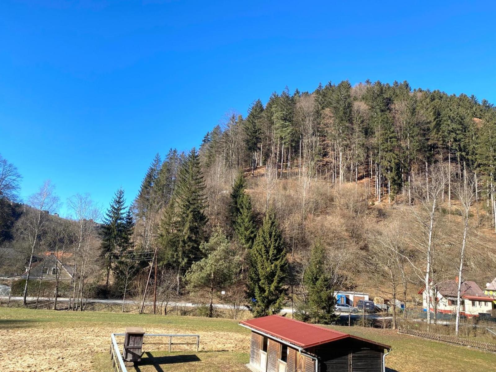 Ferienhaus Almenland