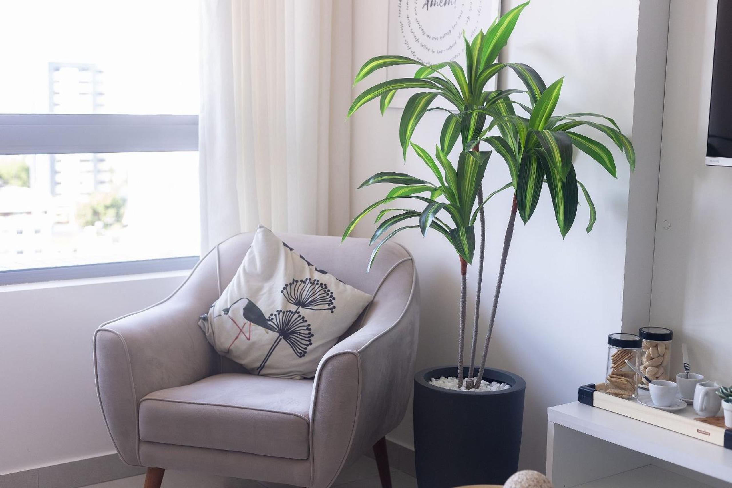 Tropical Hub #1002 - Apartment in Manaíra by Carpediem