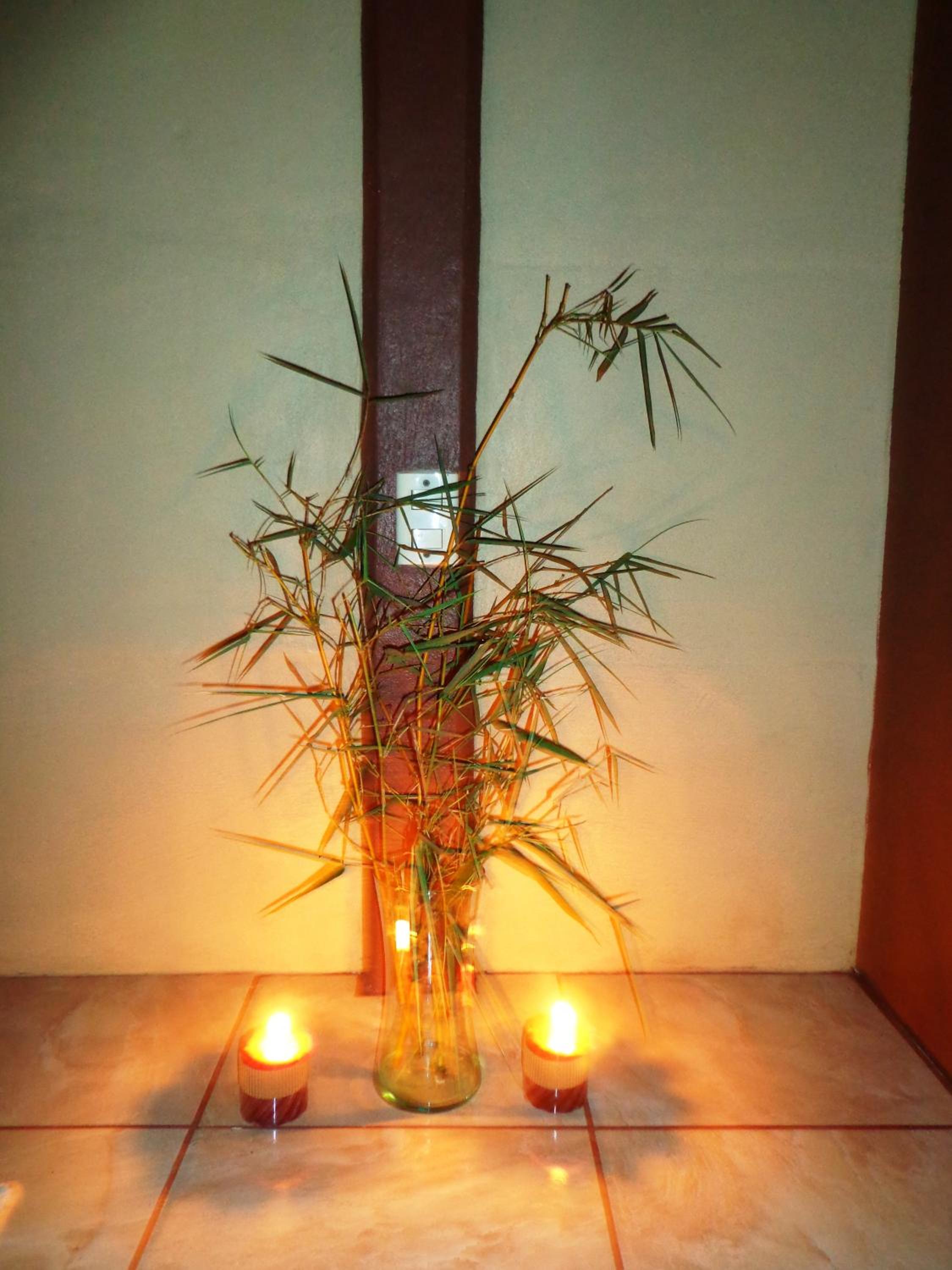 Posada Río Celeste La Amistad