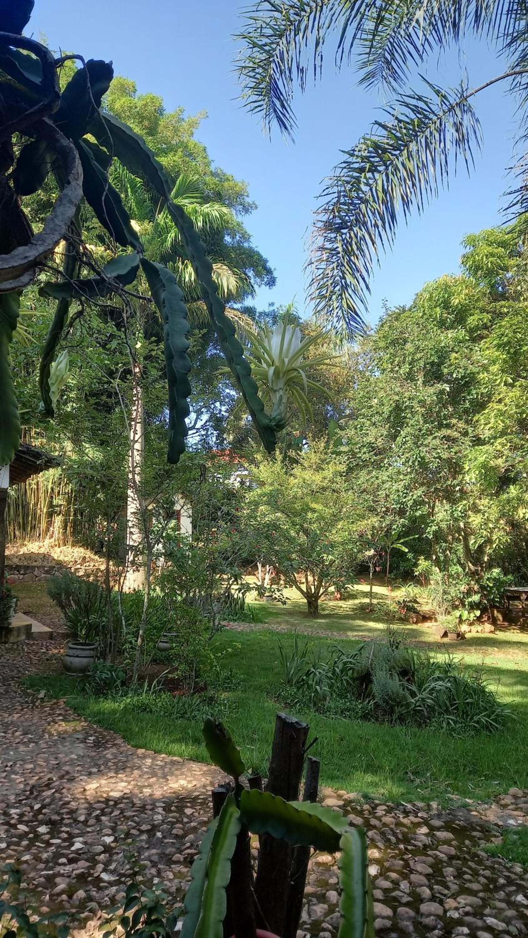 Casa Verde-Casa de Temporada no Bichinho