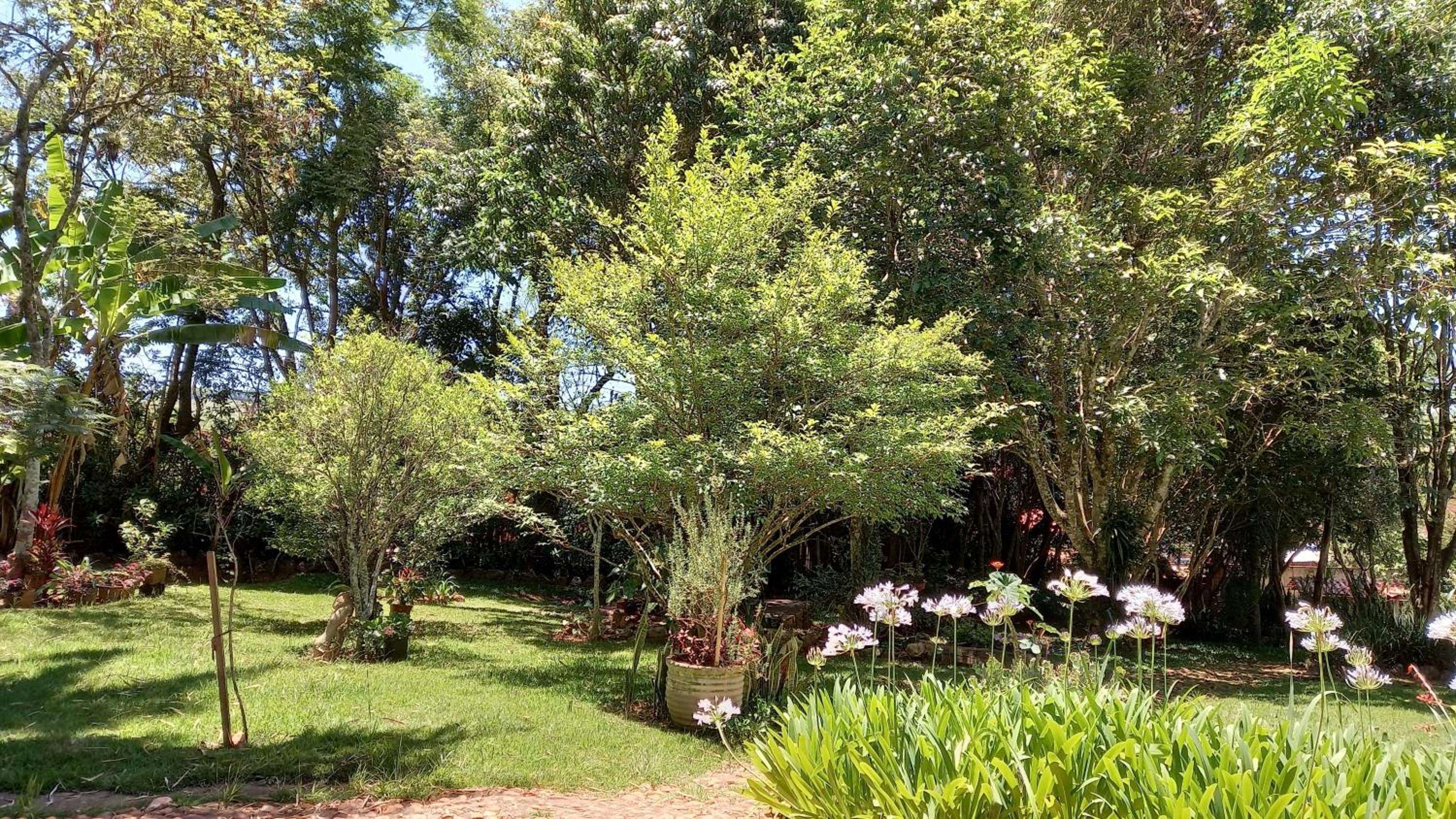 Casa Verde-Casa de Temporada no Bichinho