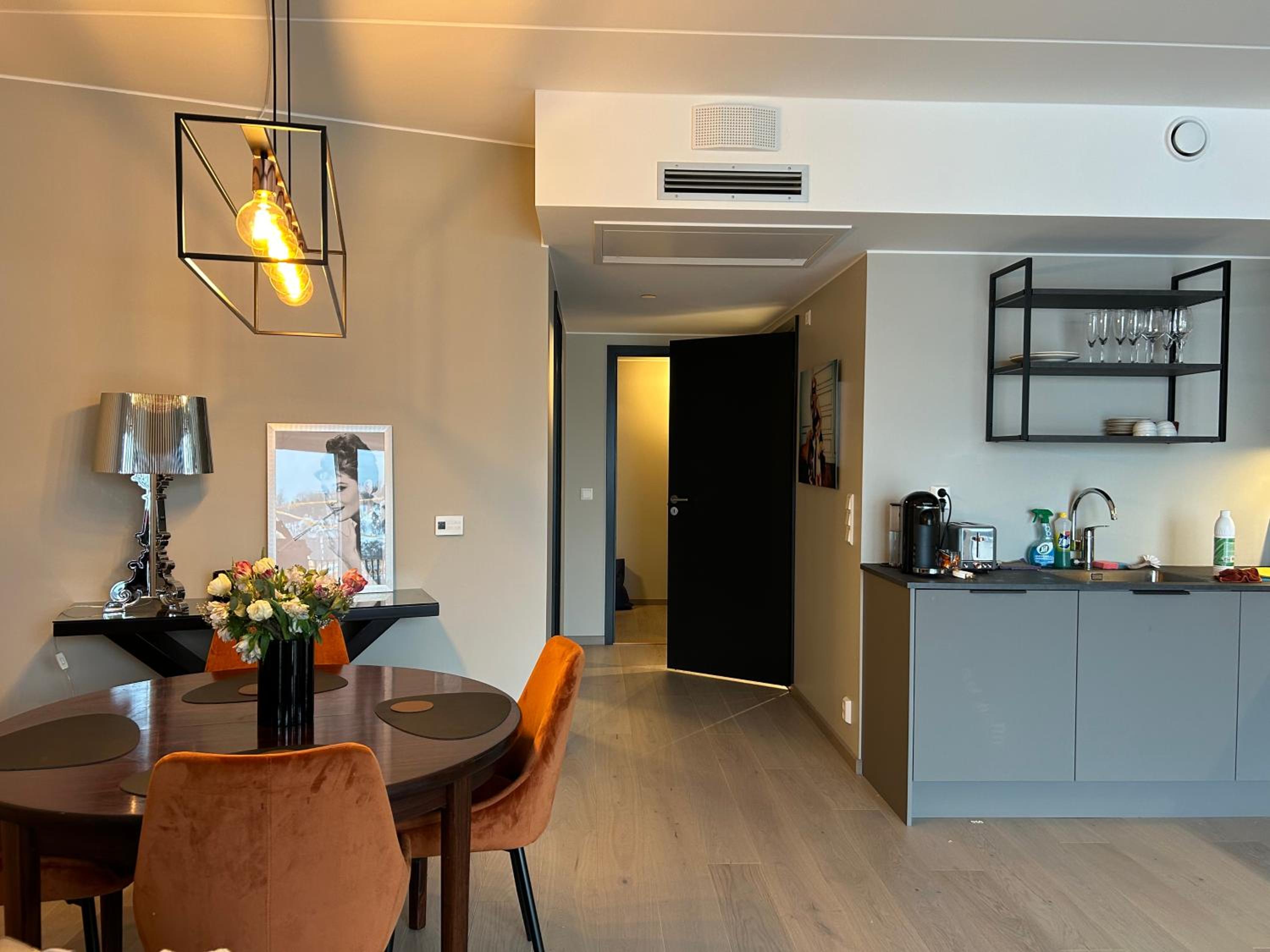 An elegant and modern apartment in Bjørvika Oslo view 4