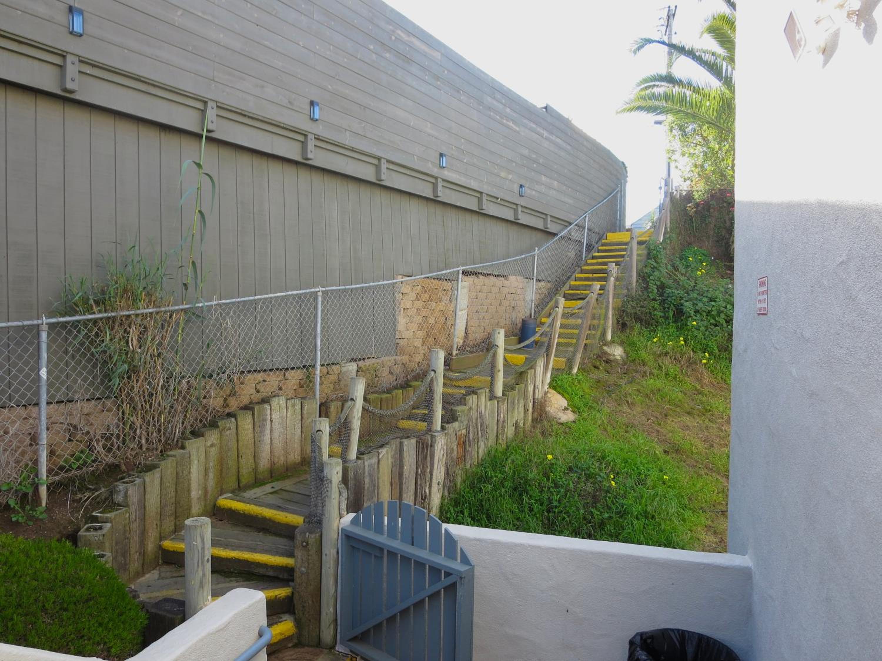 Photo 44