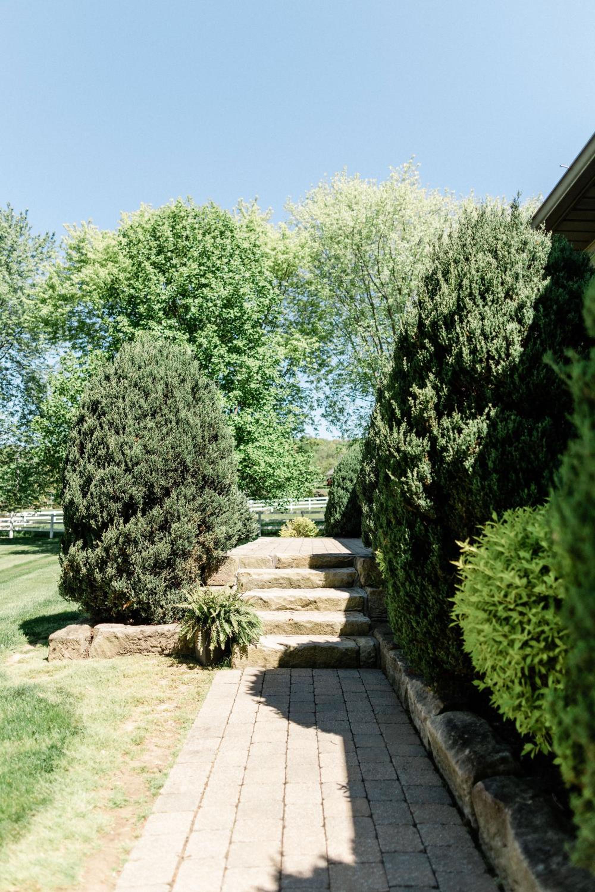 PIne Valley Guesthouse view 3
