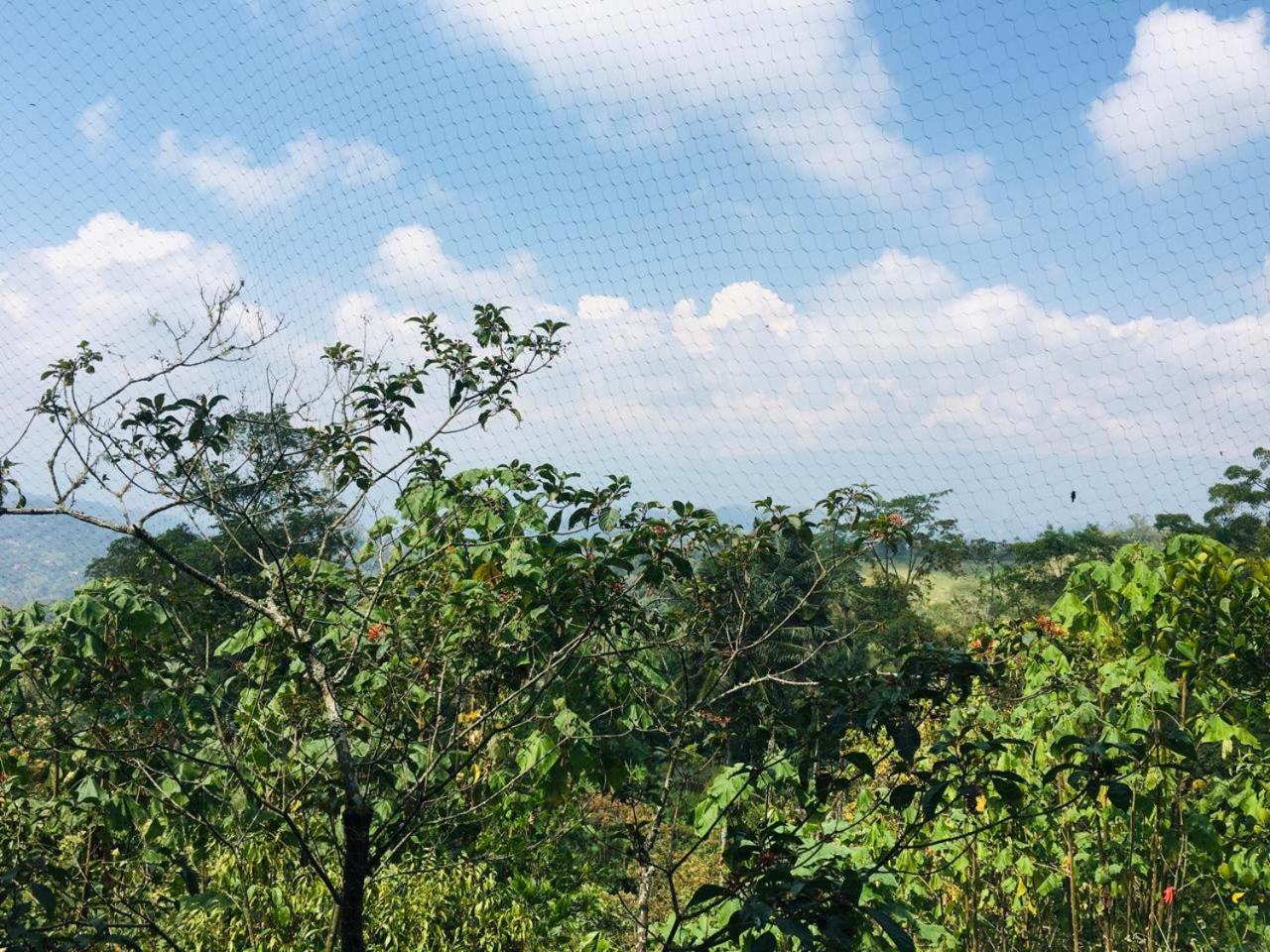 Finca San José