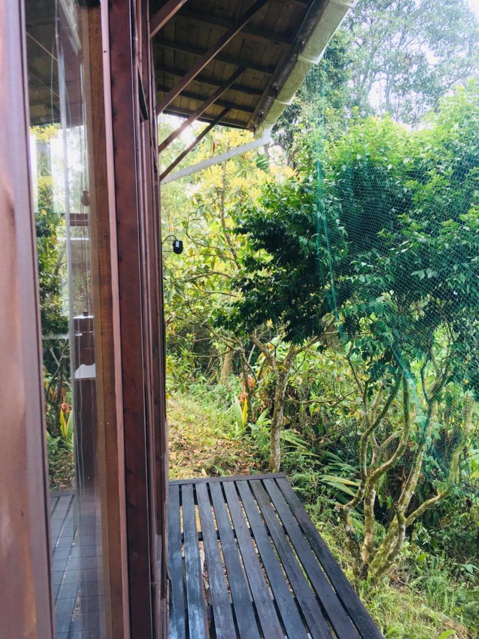 Finca San José