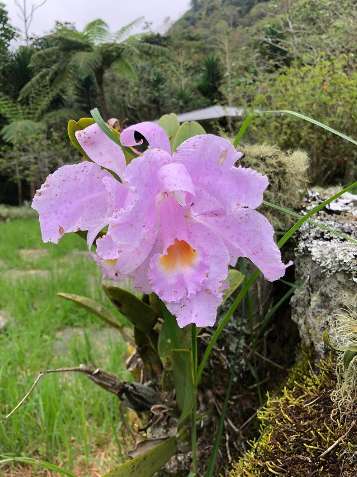 Finca San José