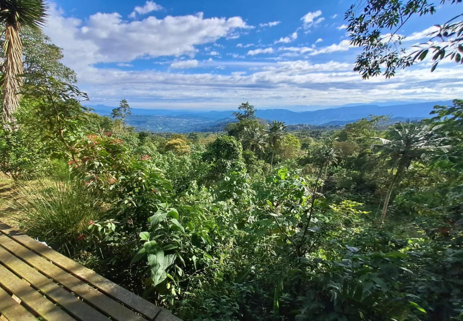 Finca San José