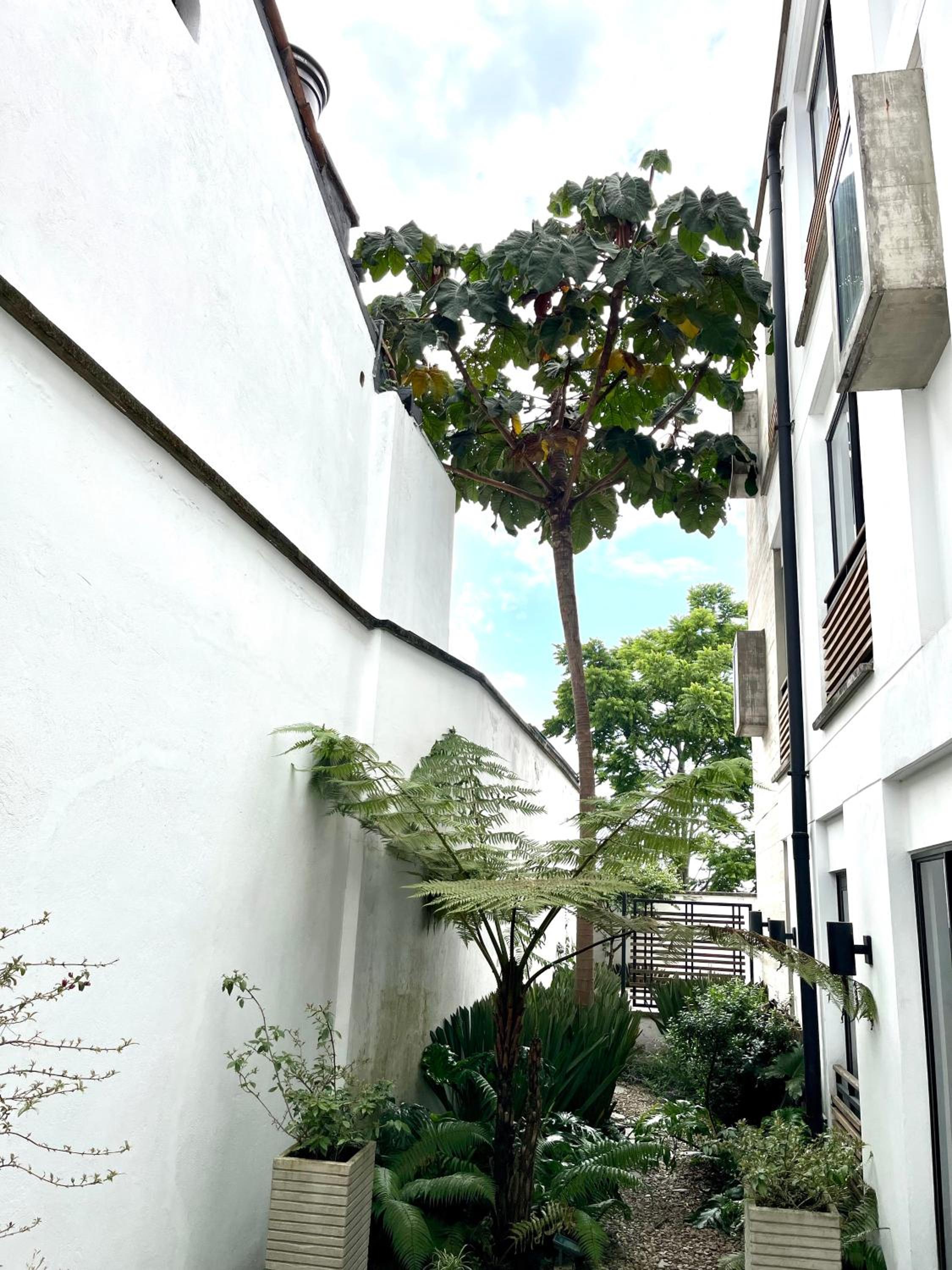 Modern loft, view-town-La Candelaria neighborhood