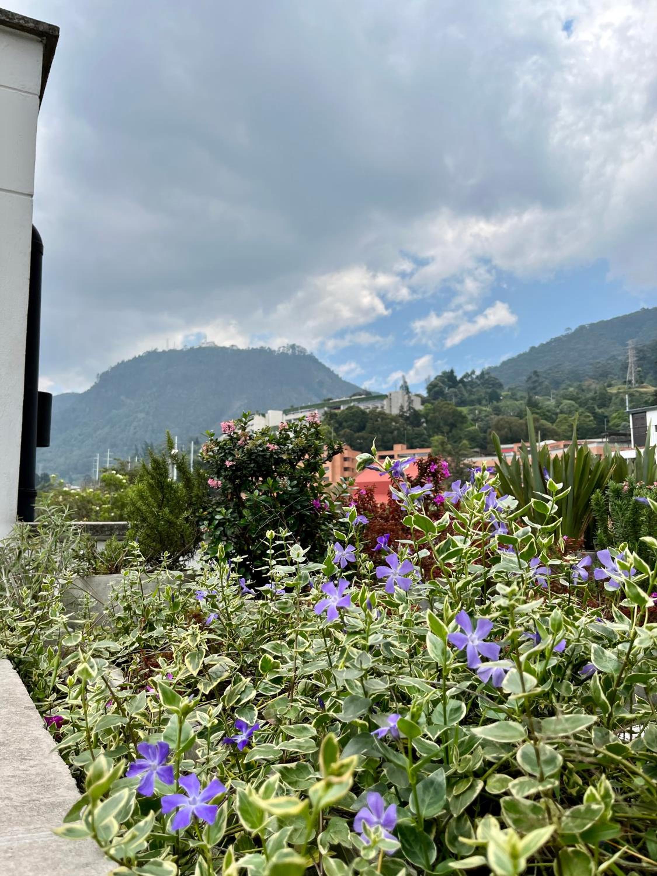 Modern loft, view-town-La Candelaria neighborhood