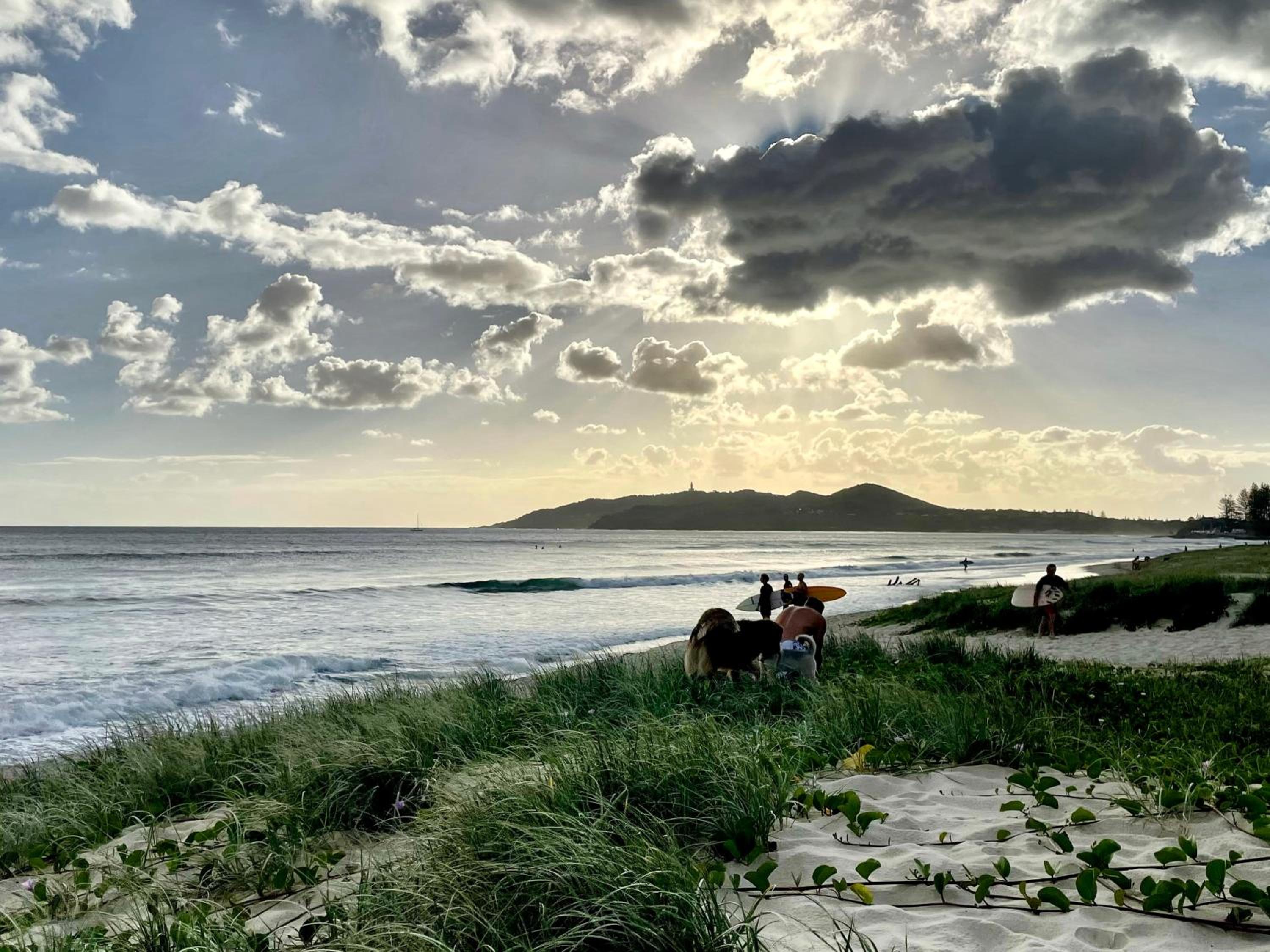 Lily Pad at Byron Bay
