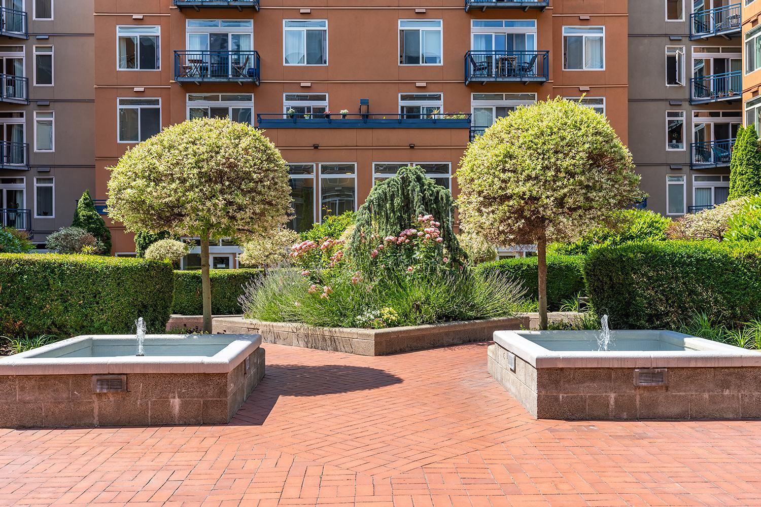 Seattle Among The Trees: in Belltown w/Parking! view 3