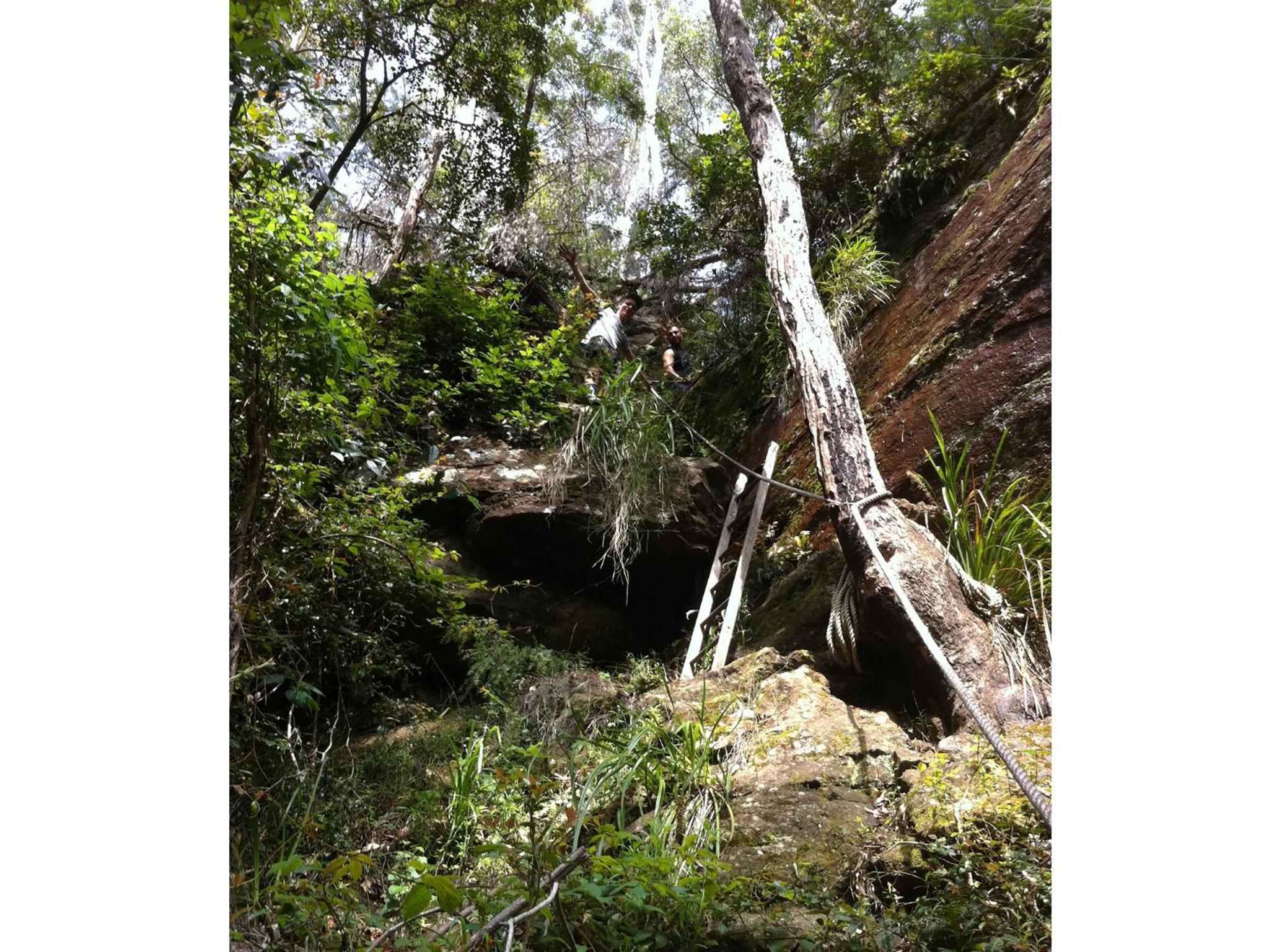Photo 20
