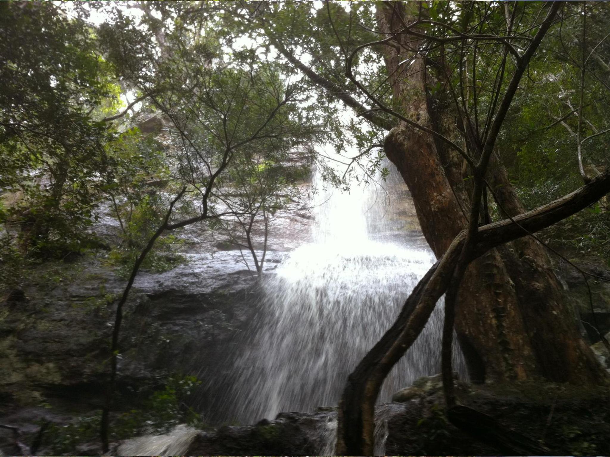 Photo 19