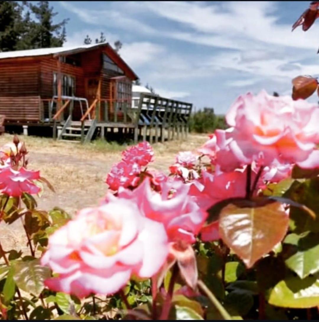 Cabañas Laguna Seca