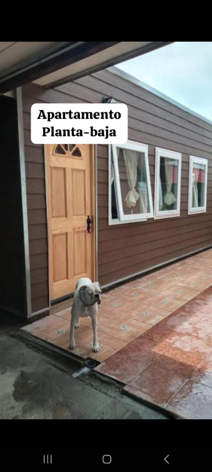 Depto. Altos de Tenglo