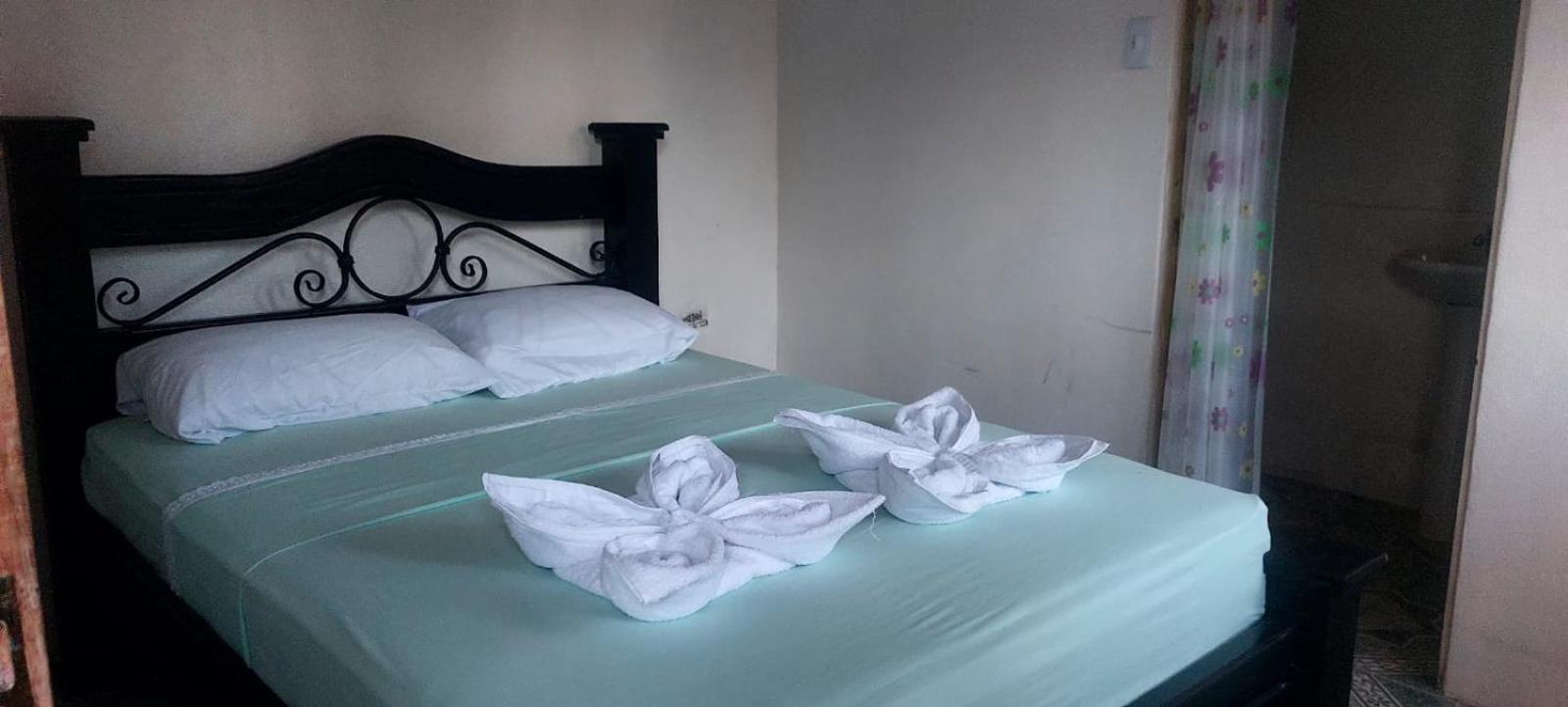 Habitaciones sierpe de osa