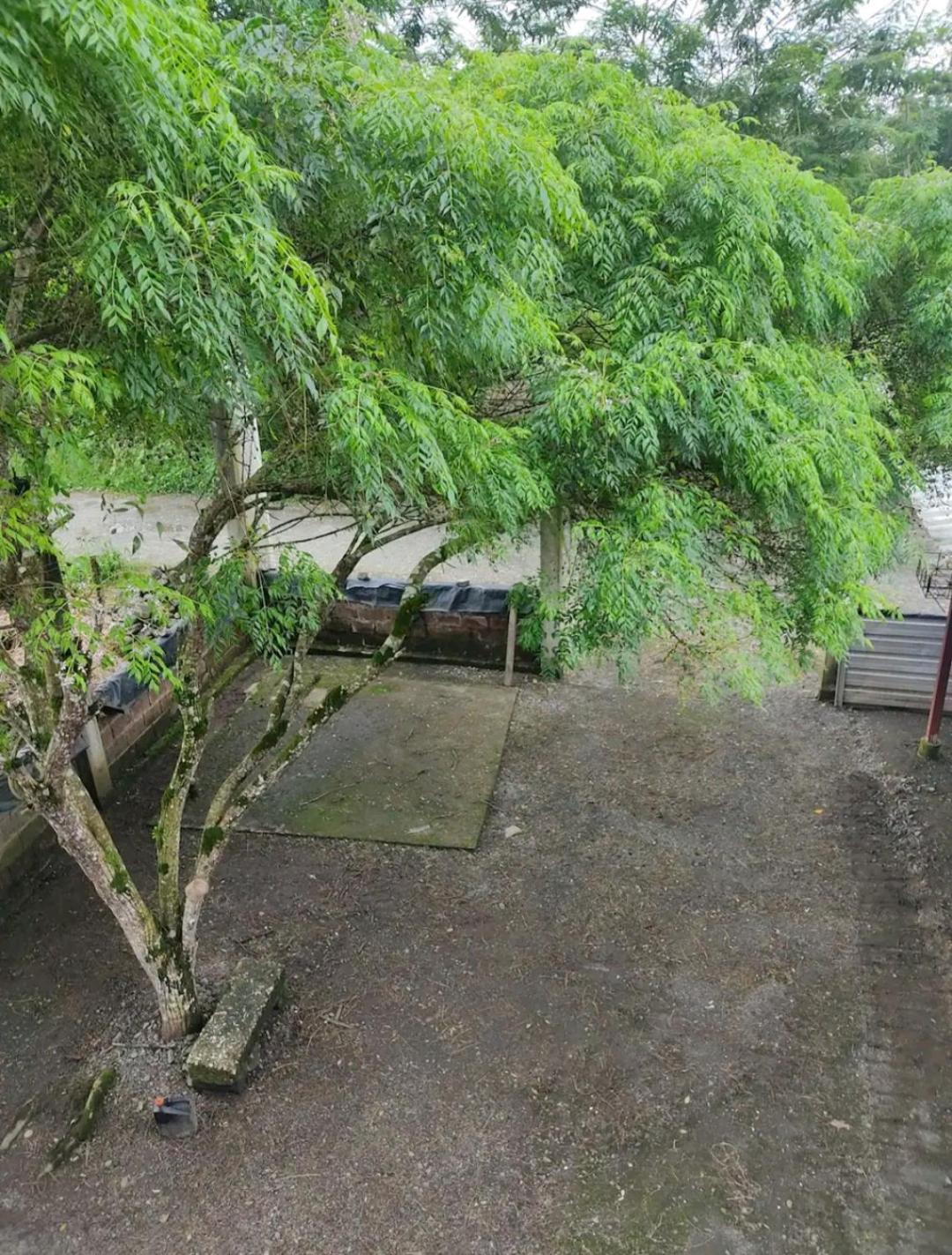 Refugio del Campo