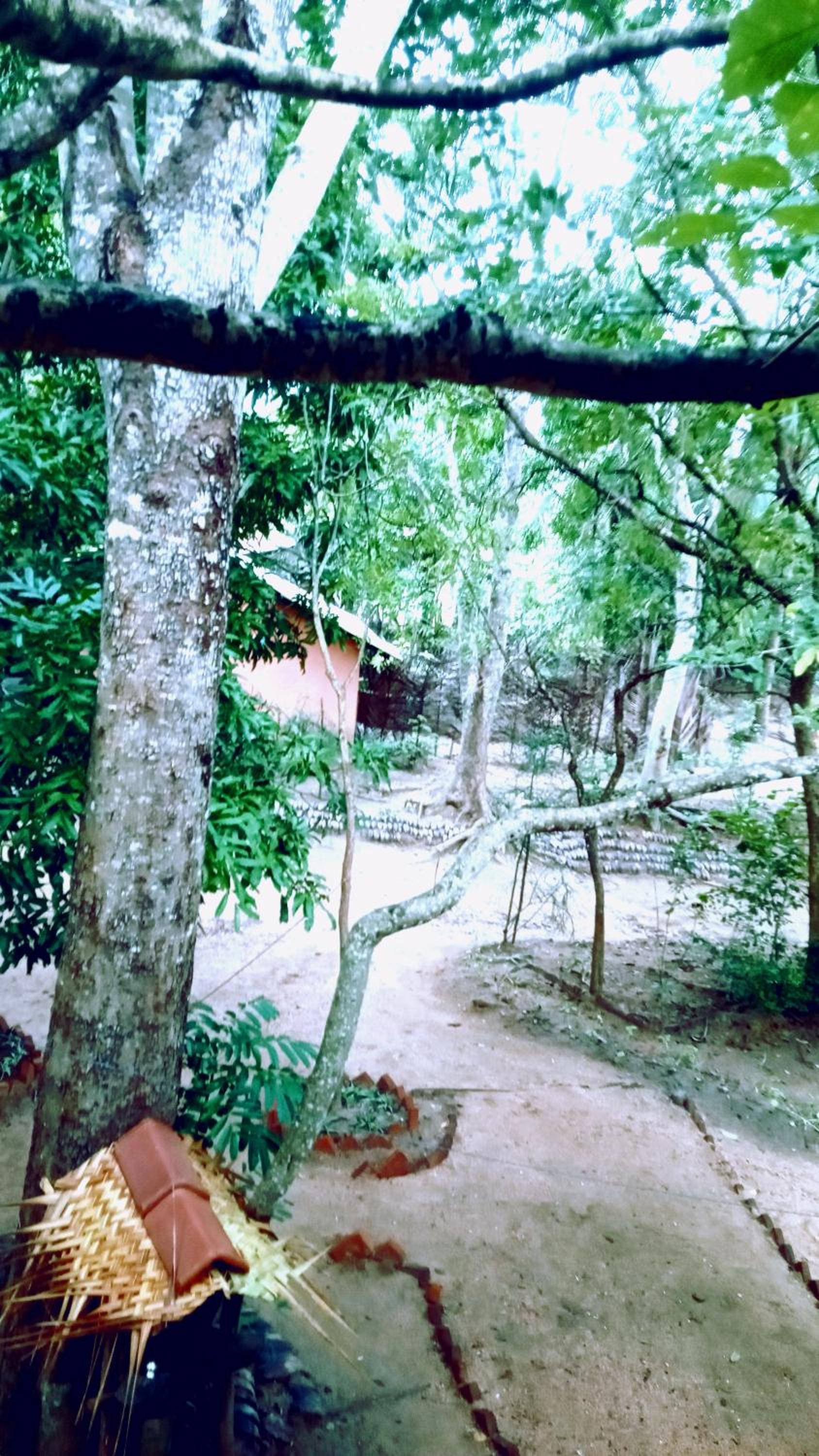 Habarana City Hostel