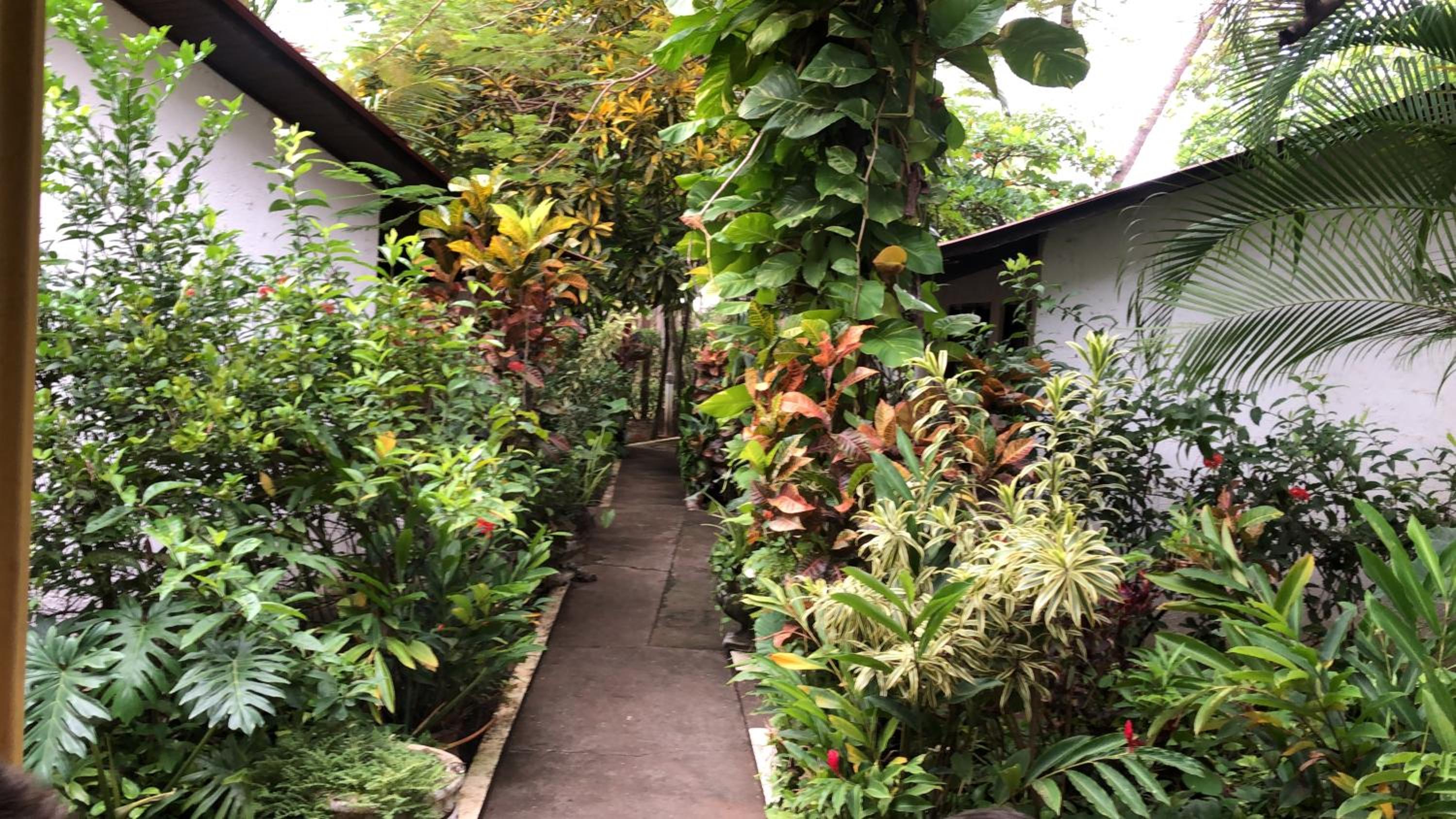 Hotel Hibiscus