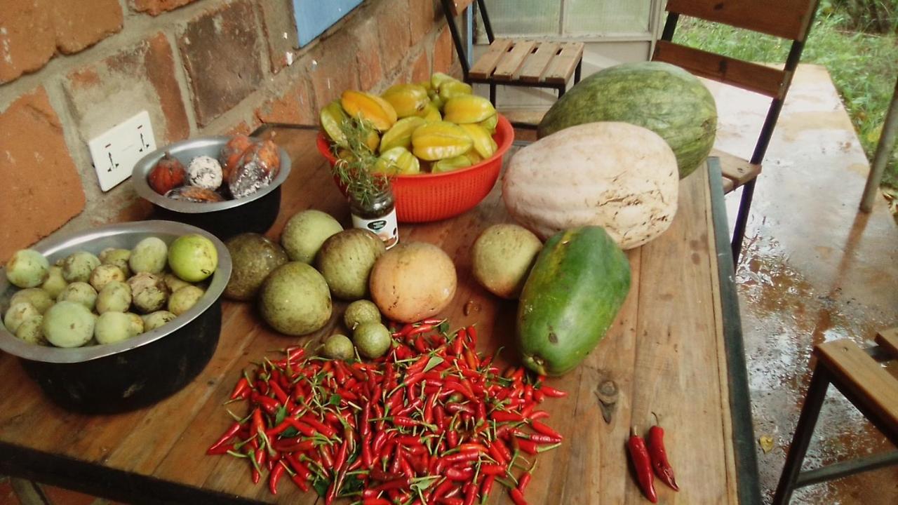 Kimashuku permaculture garden