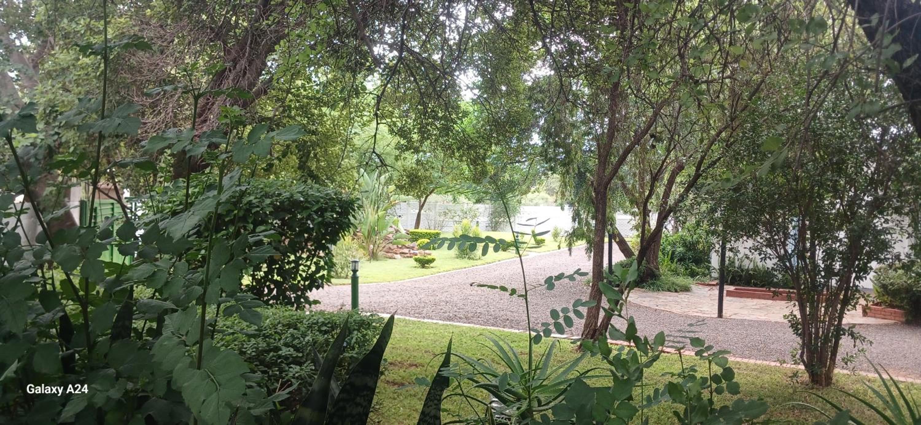 DRIFTWOOD BOUTIQUE BED AND BREAKFAST