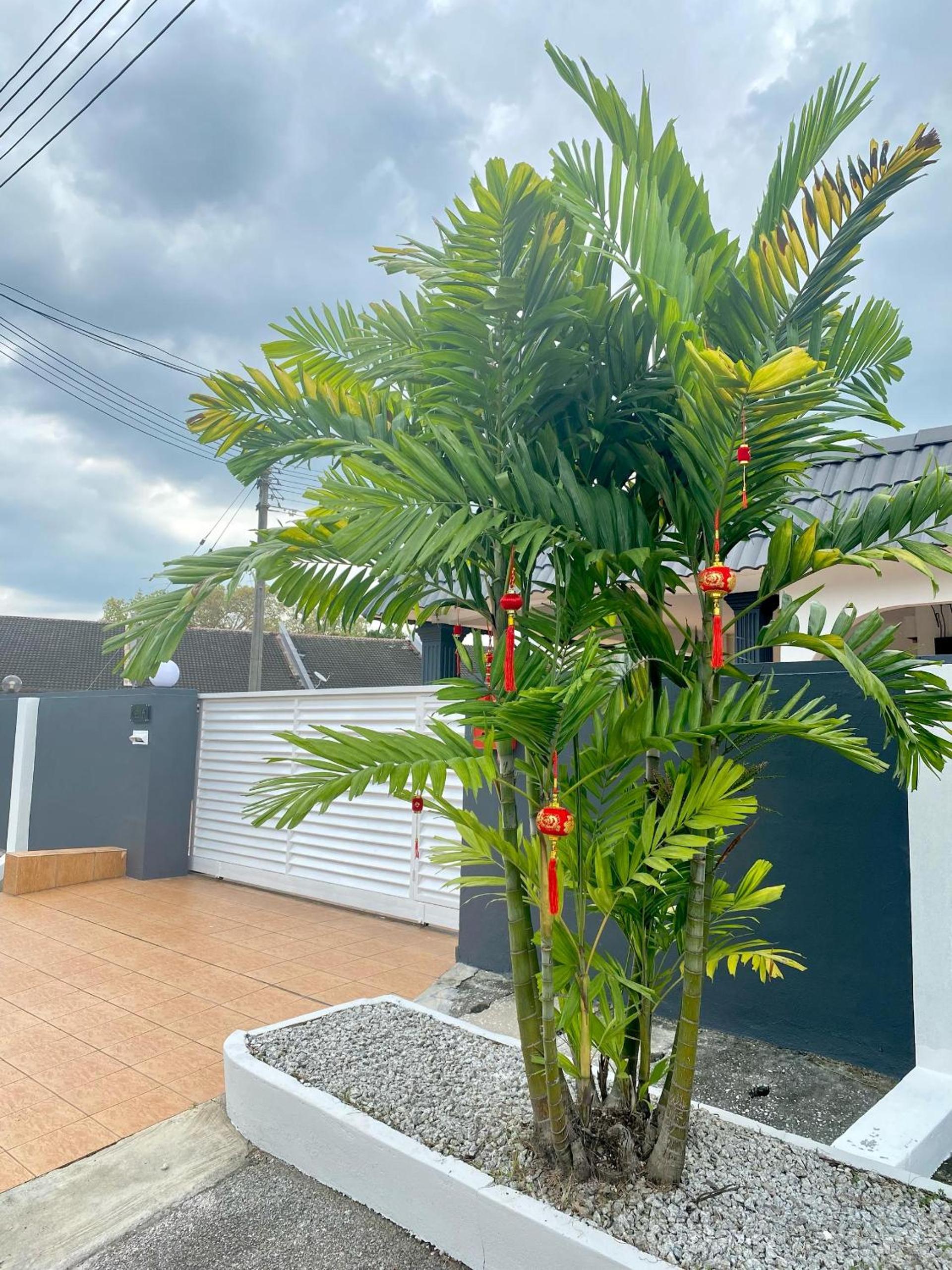 IPOH LYL EVERGREEN HOMESTAY 12pax view 4